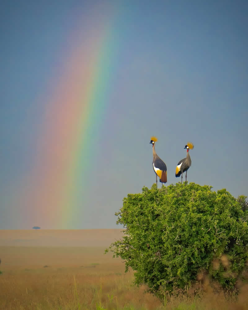 Nature and Wildlife Photography by Munish Palnaiappan
