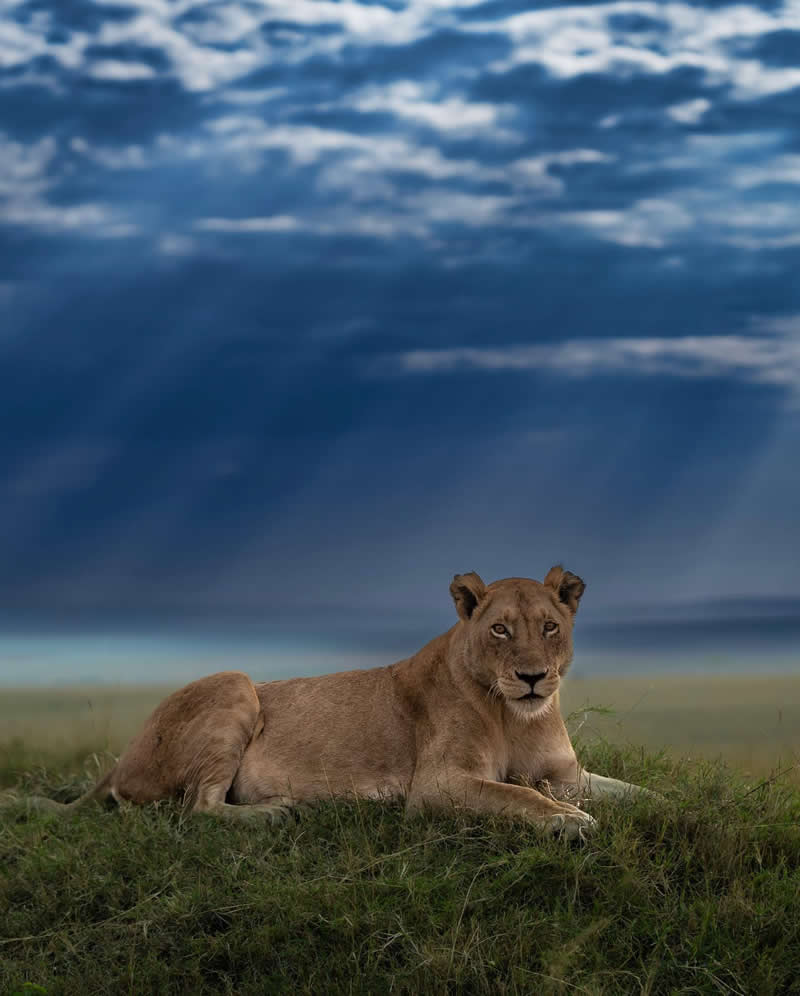 Nature and Wildlife Photography by Munish Palnaiappan