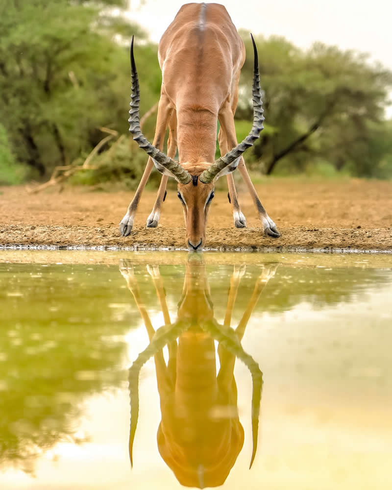 Nature and Wildlife Photography by Munish Palnaiappan