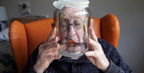 22 Soulful Award-Winning Portraits from the 2025 AAP Magazine Awards