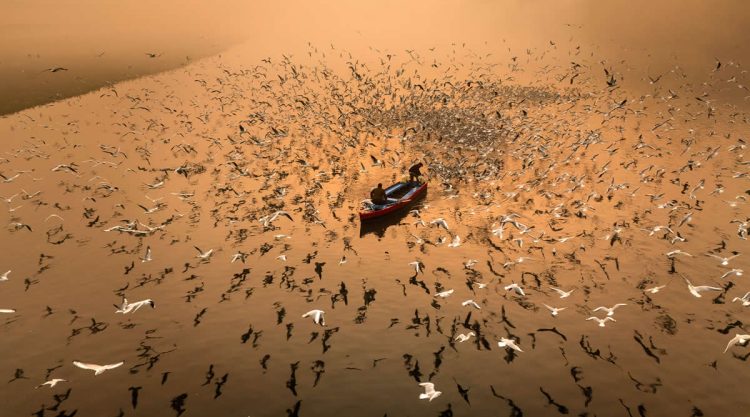 Awe-Inspiring Aerial Nature Photos That Showcase Earth Majesty