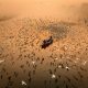 Awe-Inspiring Aerial Nature Photos That Showcase Earth Majesty