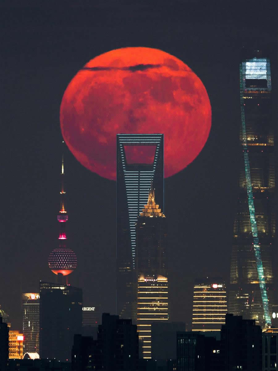 2025 Astronomy Photographer of the Year Finalists