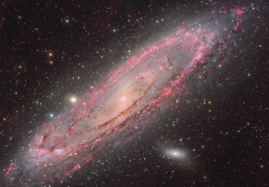 2025 Astronomy Photographer of the Year Finalists