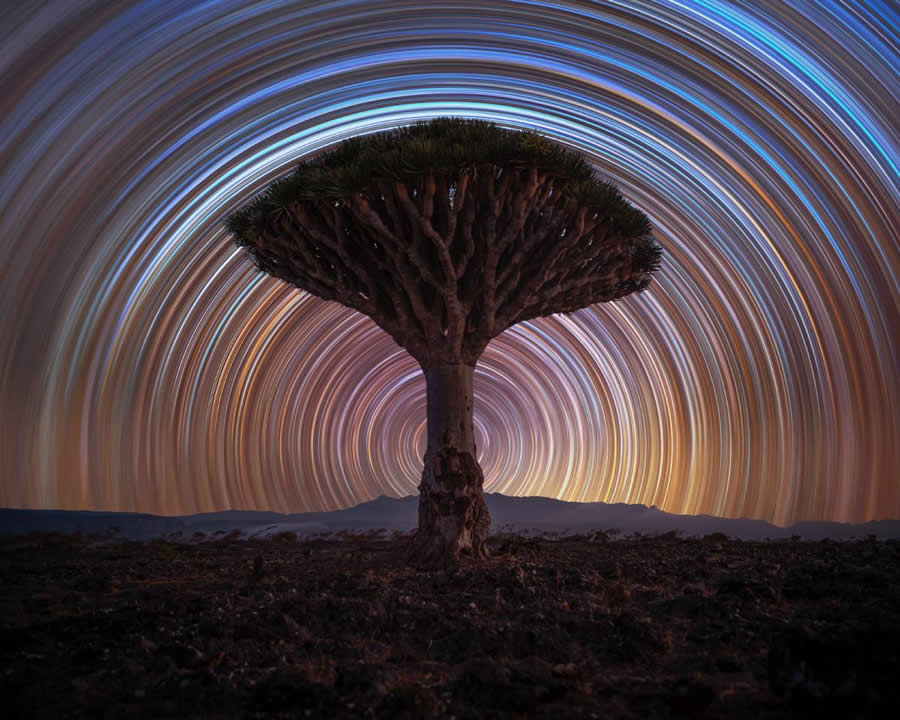 2025 Astronomy Photographer of the Year Finalists