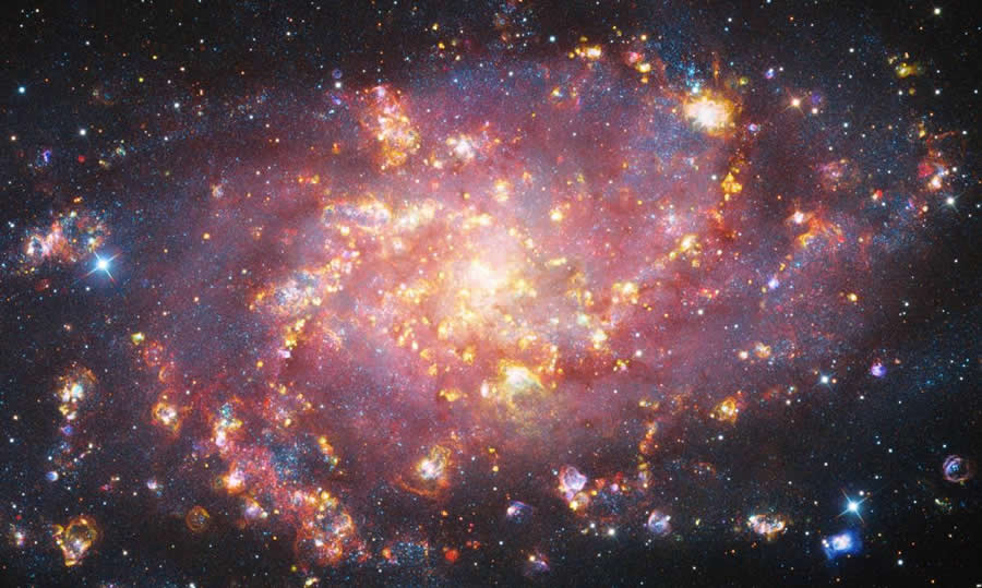 2025 Astronomy Photographer of the Year Finalists