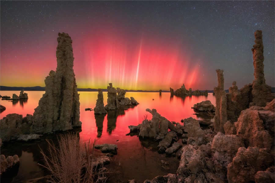 2025 Astronomy Photographer of the Year Finalists