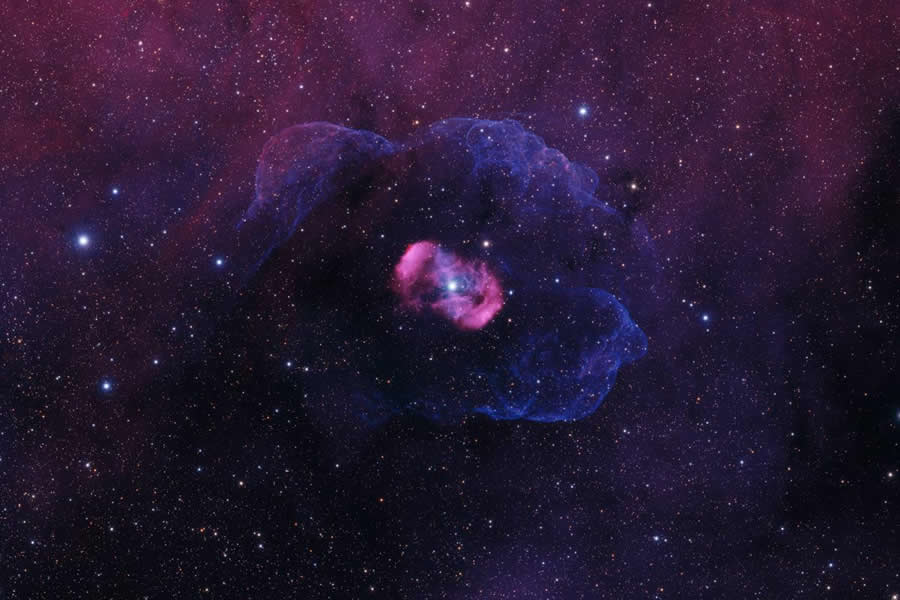 2025 Astronomy Photographer of the Year Finalists
