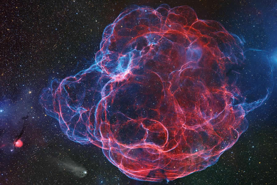 2025 Astronomy Photographer of the Year Finalists