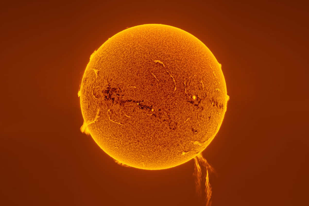 2025 Astronomy Photographer of the Year Finalists