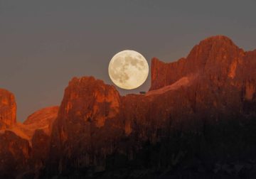 2025 Astronomy Photographer of the Year Finalists
