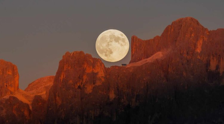 2025 Astronomy Photographer of the Year Finalists
