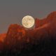 2025 Astronomy Photographer of the Year Finalists