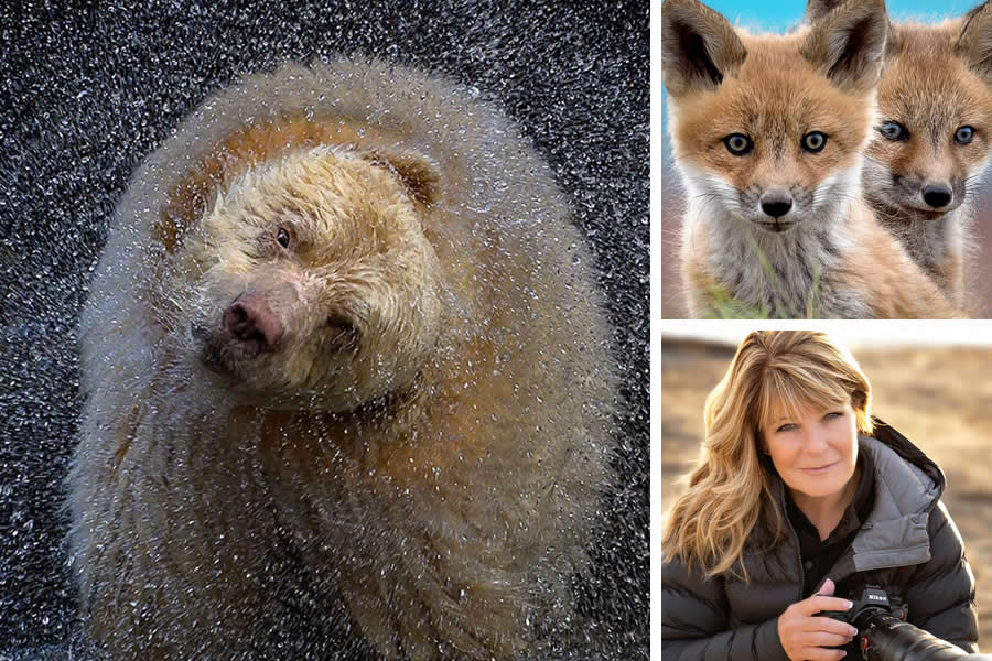Award-Winning Canadian Wildlife Photographers