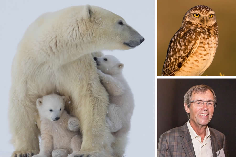 Award-Winning Canadian Wildlife Photographers