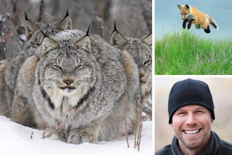 Award-Winning Canadian Wildlife Photographers