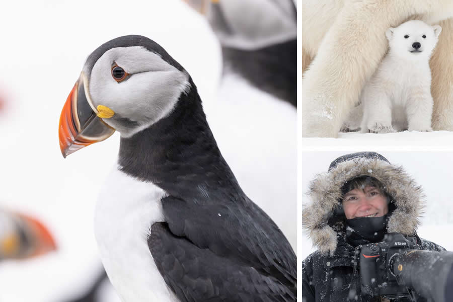 Award-Winning Canadian Wildlife Photographers