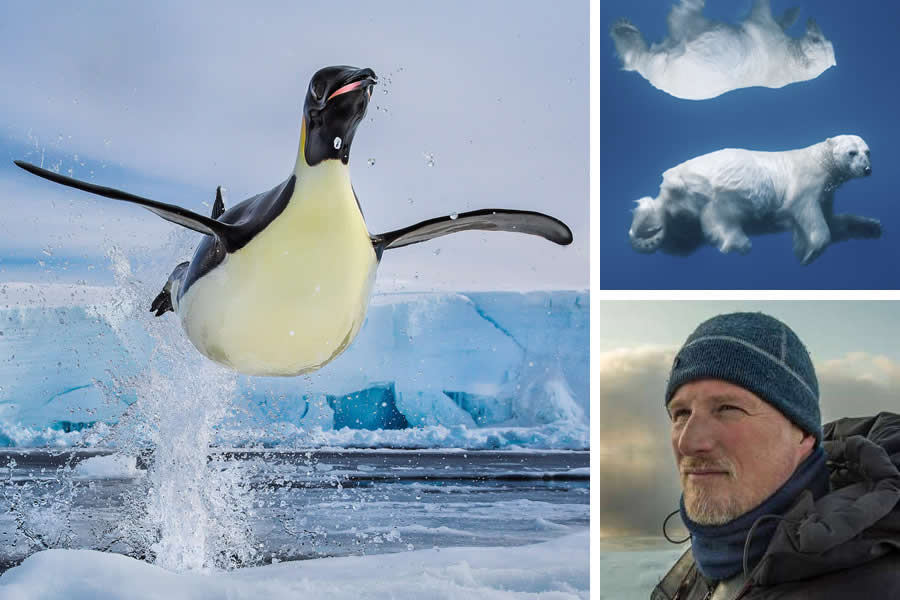 Award-Winning Canadian Wildlife Photographers