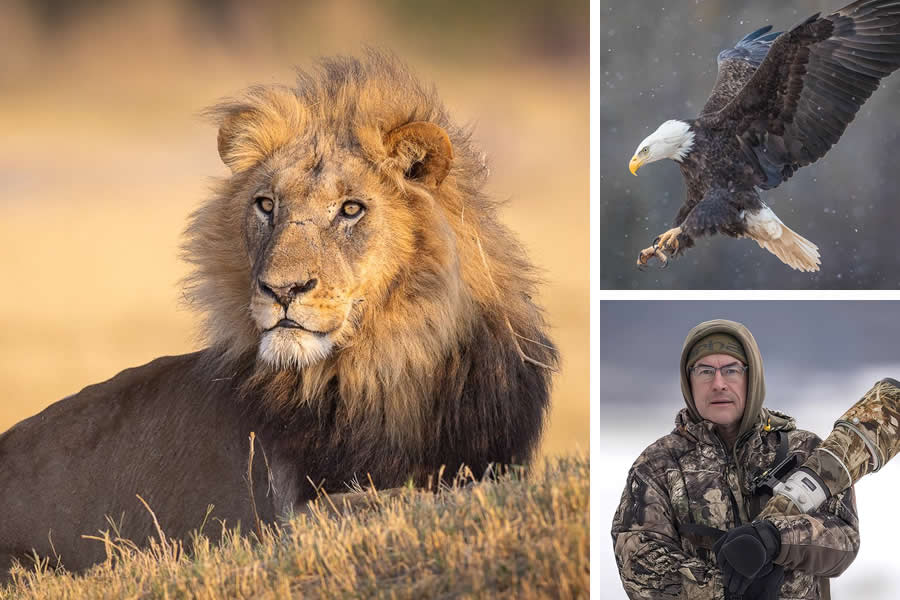 Award-Winning Canadian Wildlife Photographers