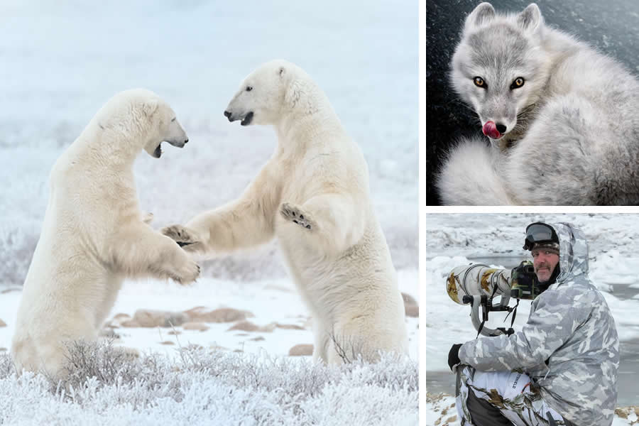 Award-Winning Canadian Wildlife Photographers