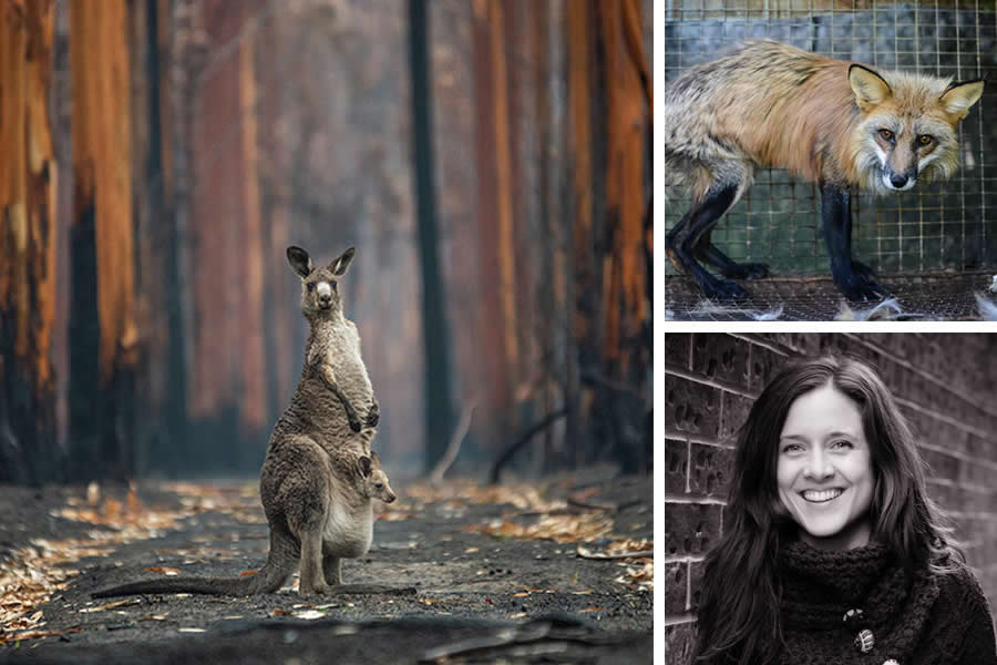 Award-Winning Canadian Wildlife Photographers