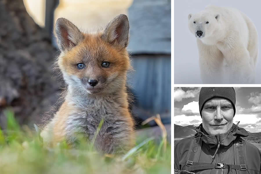 Award-Winning Canadian Wildlife Photographers