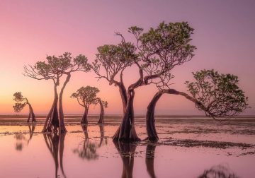 Award-Winning Landscape Photos That Celebrate Nature