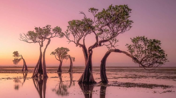 Award-Winning Landscape Photos That Celebrate Nature