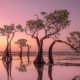Award-Winning Landscape Photos That Celebrate Nature