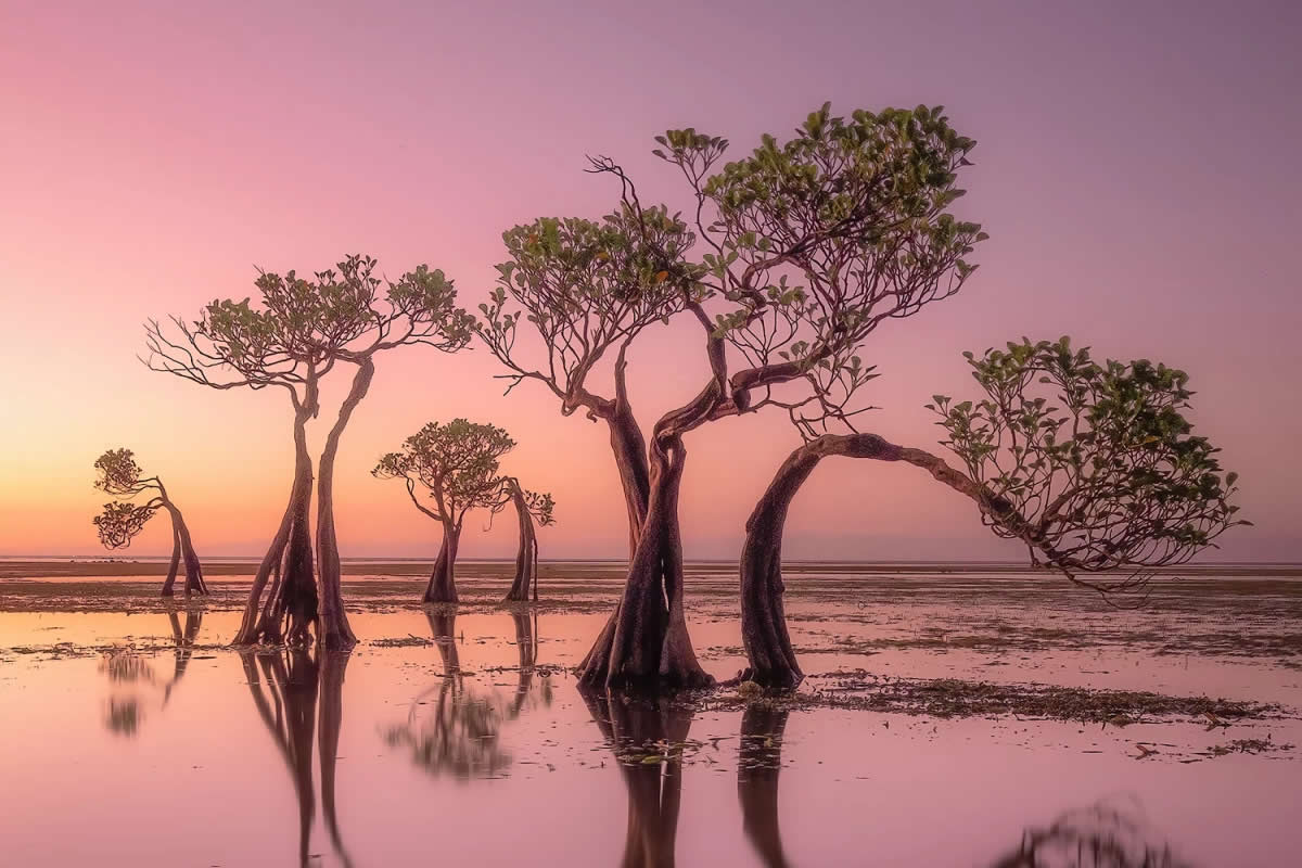 Award-Winning Landscape Photos That Celebrate Nature