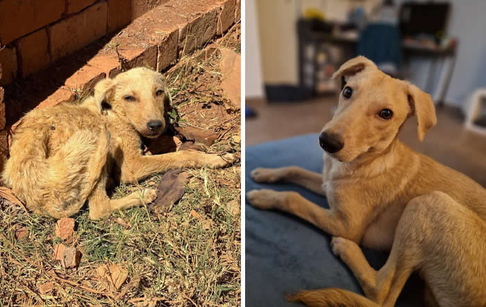 Inspiring Before-and-After Stories