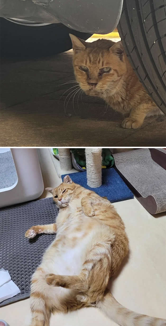 Inspiring Before-and-After Stories