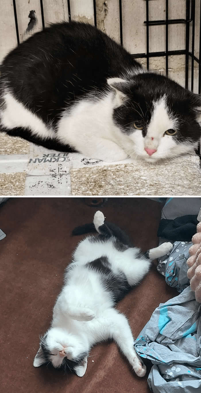 Inspiring Before-and-After Stories