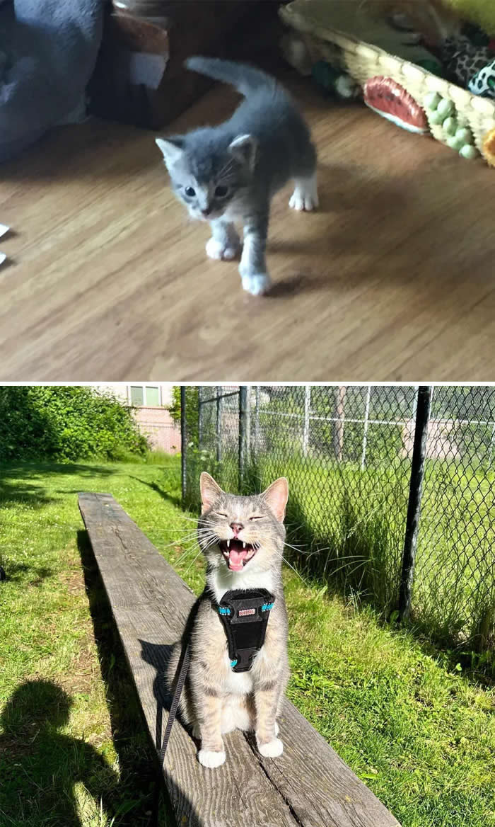 Inspiring Before-and-After Stories