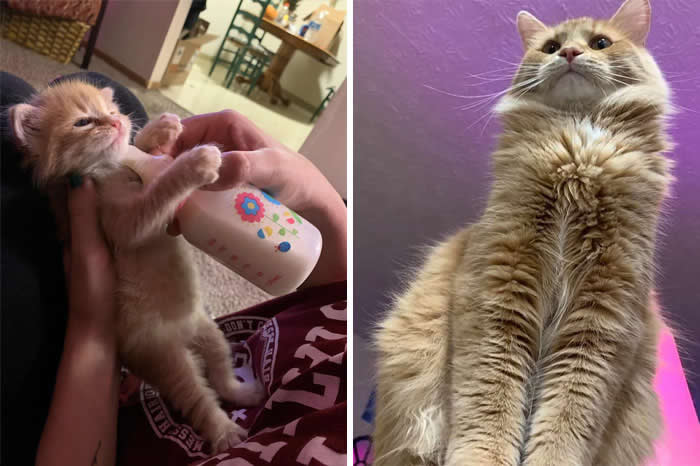Inspiring Before-and-After Stories