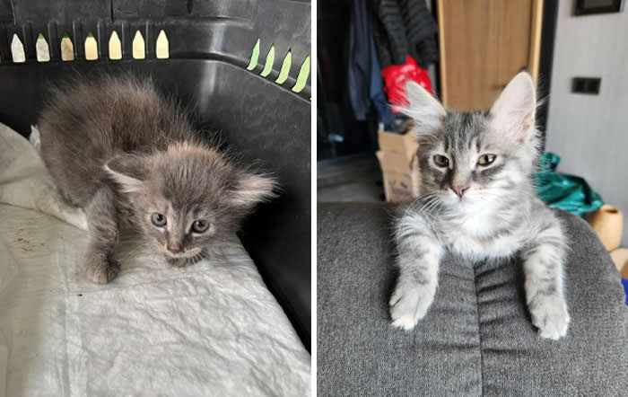Inspiring Before-and-After Stories