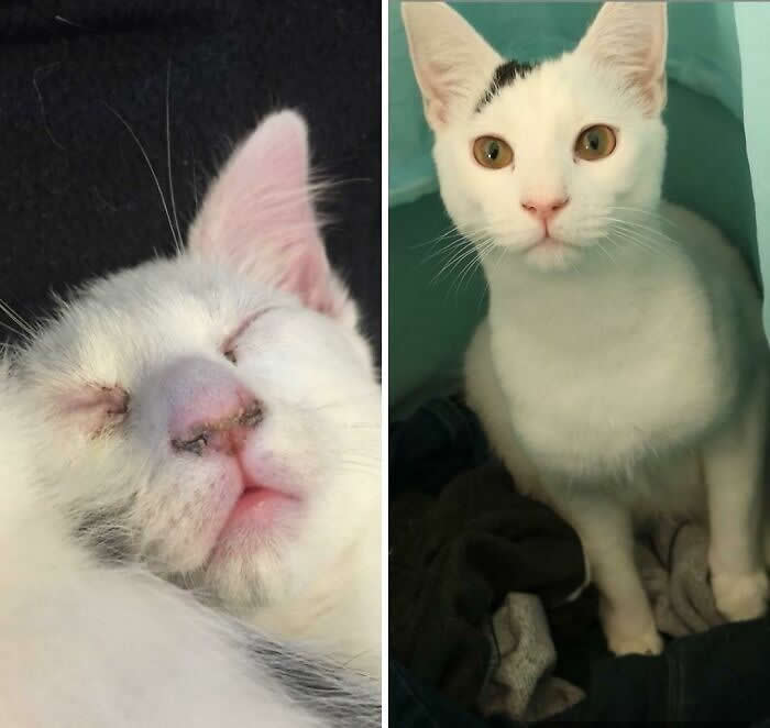 Inspiring Before-and-After Stories