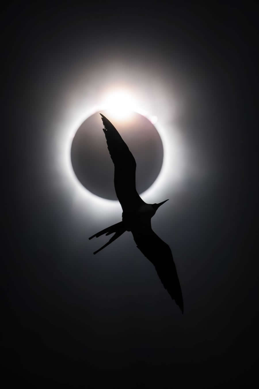 2025 BigPicture Natural World People Choice Award
