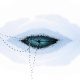 2025 BigPicture Natural World Awards Winners