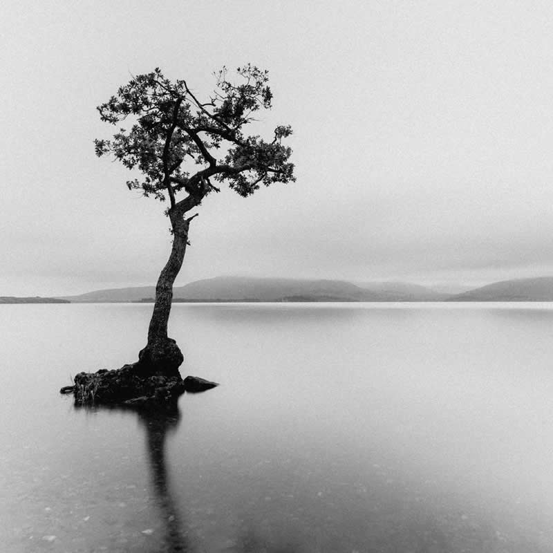 Poetic Black and White Nature Photos of Scotland by Adrian Vila