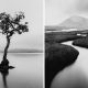 Poetic Black and White Nature Photos of Scotland by Adrian Vila