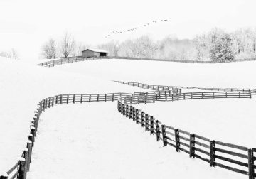 Captivating Black and White Photos That Redefine Visual Storytelling