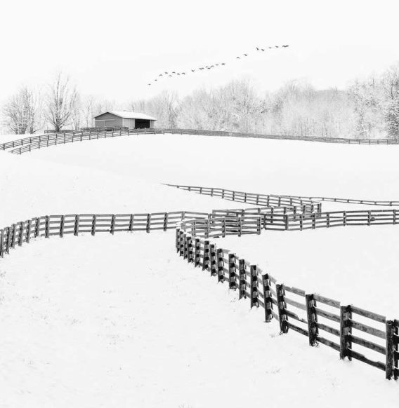 30 Captivating Black and White Photos That Redefine Visual Storytelling