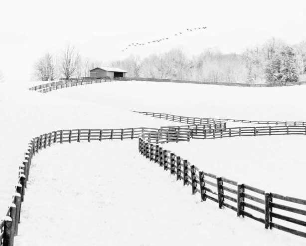 30 Captivating Black and White Photos That Redefine Visual Storytelling