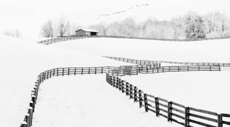 Captivating Black and White Photos That Redefine Visual Storytelling