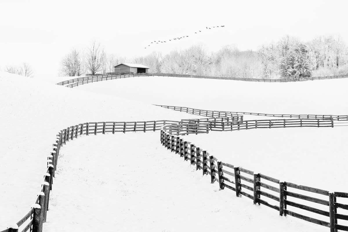Captivating Black and White Photos That Redefine Visual Storytelling