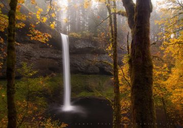 Captivating Nature Photos That Reflect Earth Grace and Wonder