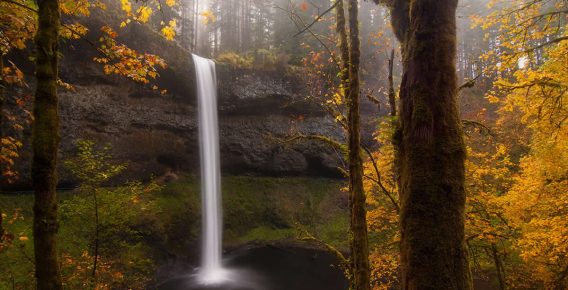 24 Captivating Nature Photos That Reflect Earth’s Grace and Wonder