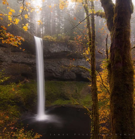 24 Captivating Nature Photos That Reflect Earth’s Grace and Wonder