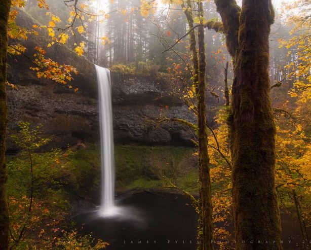 24 Captivating Nature Photos That Reflect Earth’s Grace and Wonder